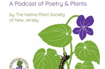 poetry and nature combine in ‘the wildstory’ podcast
